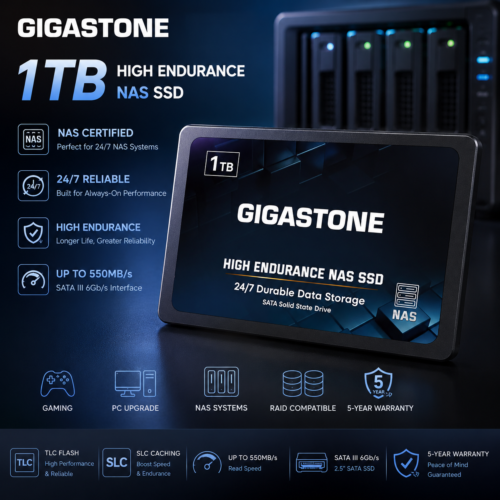 Gigastone 1TB